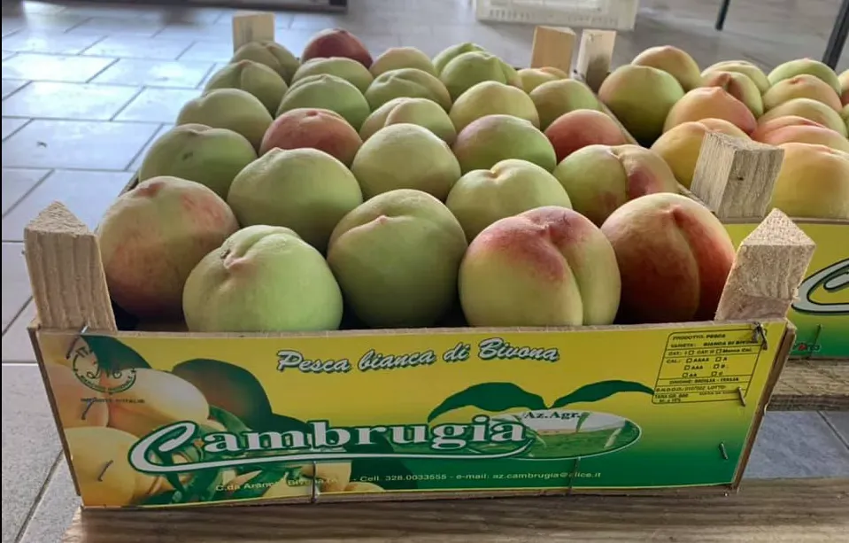 PÊCHES EN PRECOMMANDE
